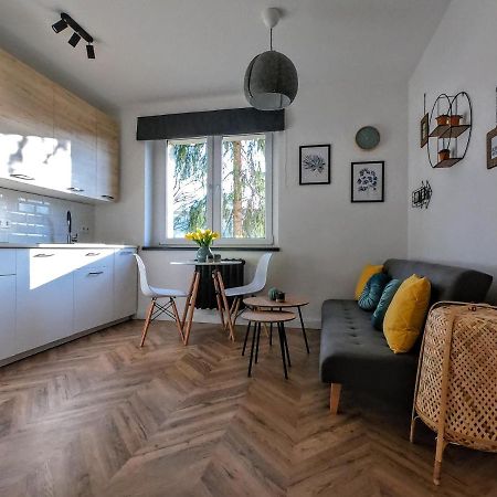 Przytulny Apartament Przy Sokolskiej - 550 Metrow Od Spodka Katowice Luaran gambar